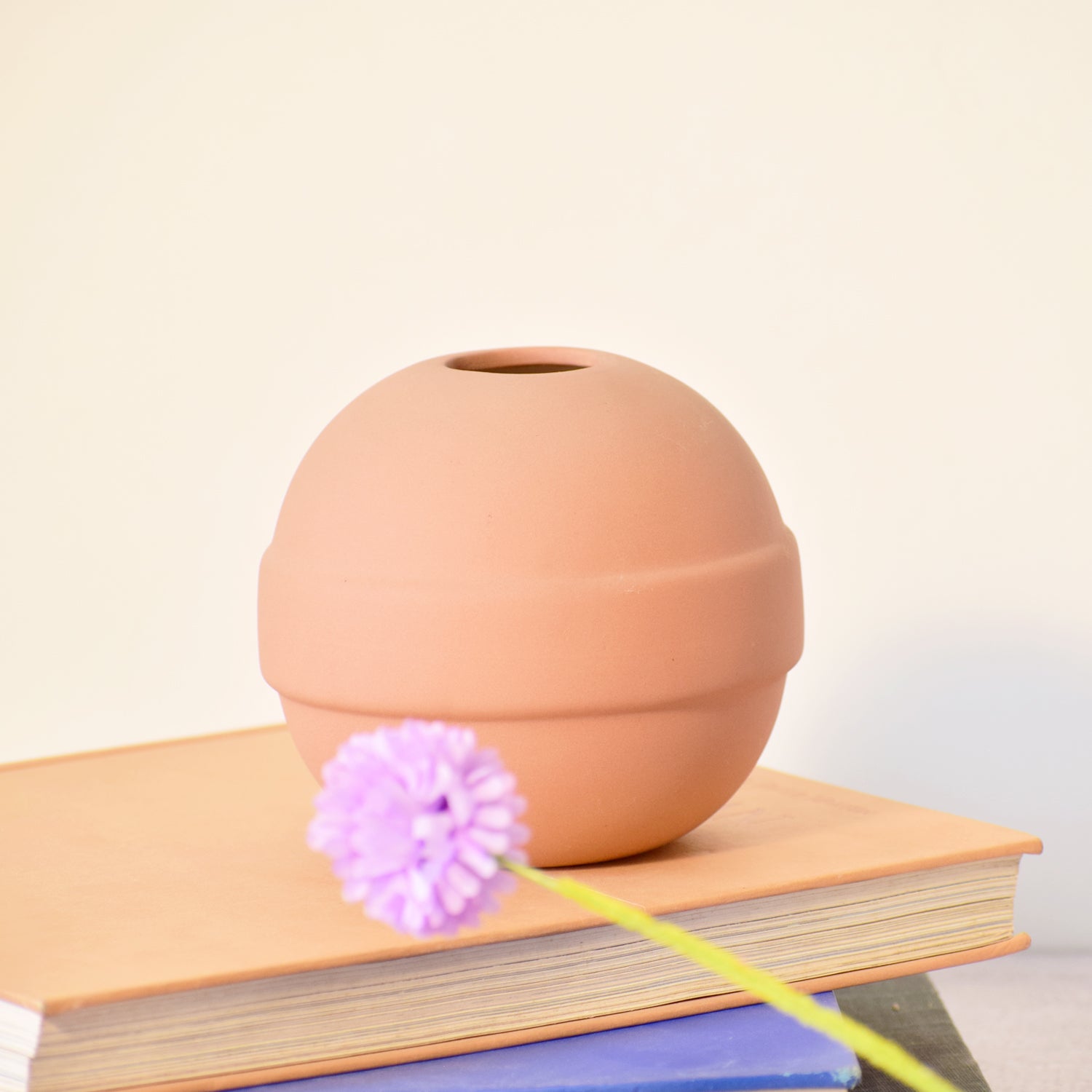 Modern ceramic Pokémon ball vase with baby breath flowers on wooden desk in aesthetic home interior